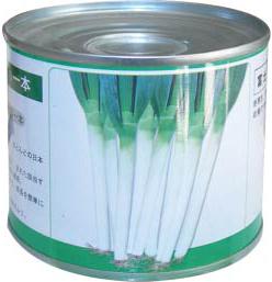 Fushi Yiben——Scallion Fushi Yiben——Scallion